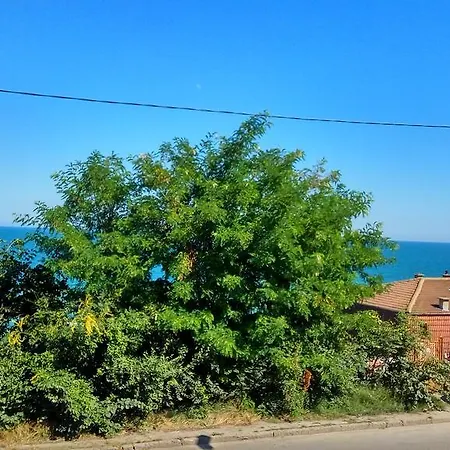 Blue Sunrise 酒店 金沙